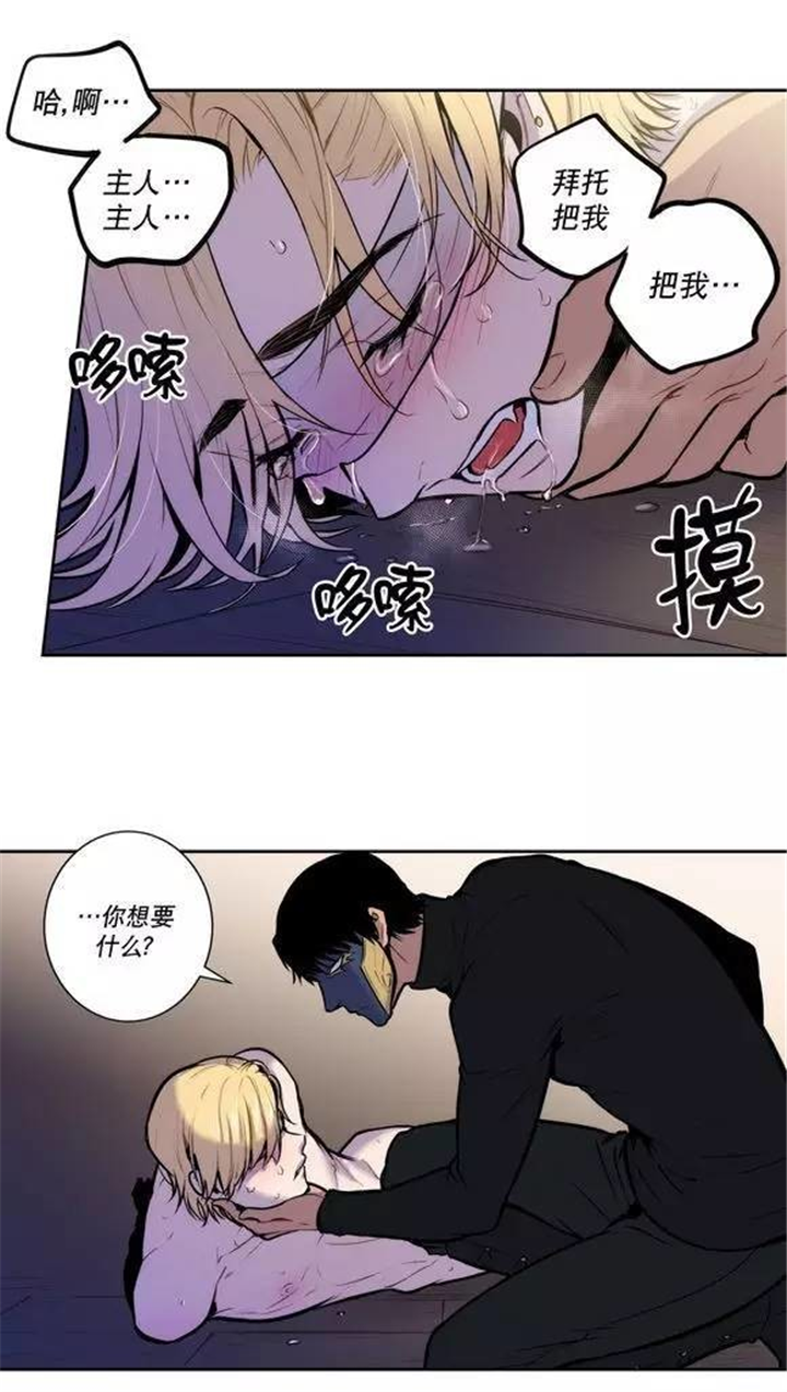 《圣杯》漫画最新章节第28章：你希望我怎么做免费下拉式在线观看章节第【14】张图片