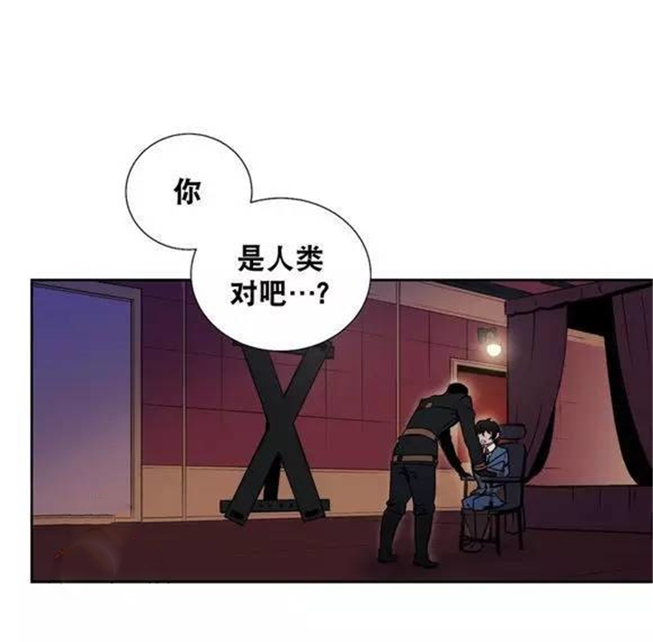 《圣杯》漫画最新章节第38章：你到底是谁免费下拉式在线观看章节第【5】张图片