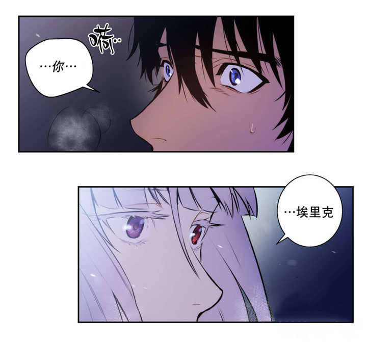 《圣杯》漫画最新章节第66章：不要外出免费下拉式在线观看章节第【5】张图片