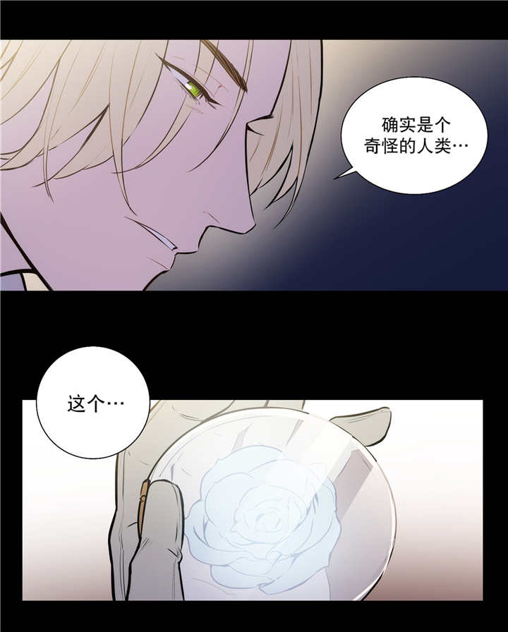 《圣杯》漫画最新章节第75章：解除关系免费下拉式在线观看章节第【1】张图片