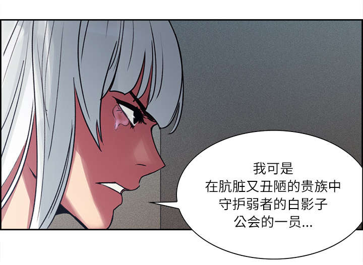 《魔夜录》漫画最新章节第12章：真相免费下拉式在线观看章节第【29】张图片