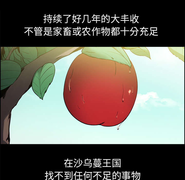 《魔夜录》漫画最新章节第26章：预言免费下拉式在线观看章节第【32】张图片