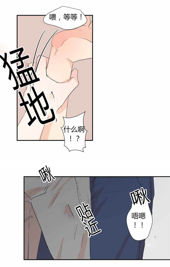 《背对背》漫画最新章节第40章：我喜欢你免费下拉式在线观看章节第【8】张图片