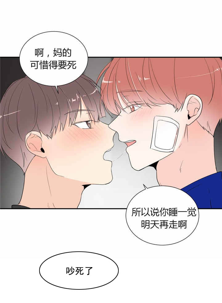 《背对背》漫画最新章节第41章：不会放手免费下拉式在线观看章节第【5】张图片