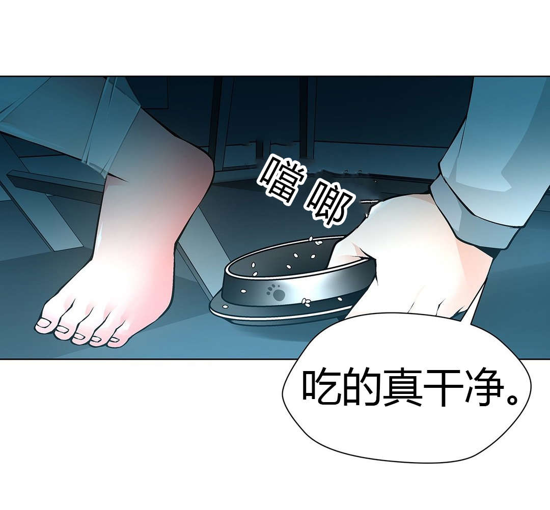 《监禁庄园》漫画最新章节第52章：梅花免费下拉式在线观看章节第【5】张图片