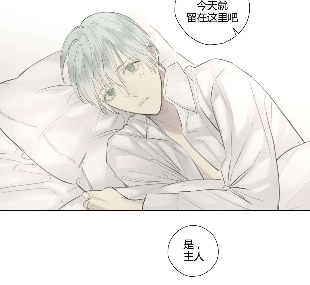 《王室仆役》漫画最新章节第52章：落水免费下拉式在线观看章节第【6】张图片