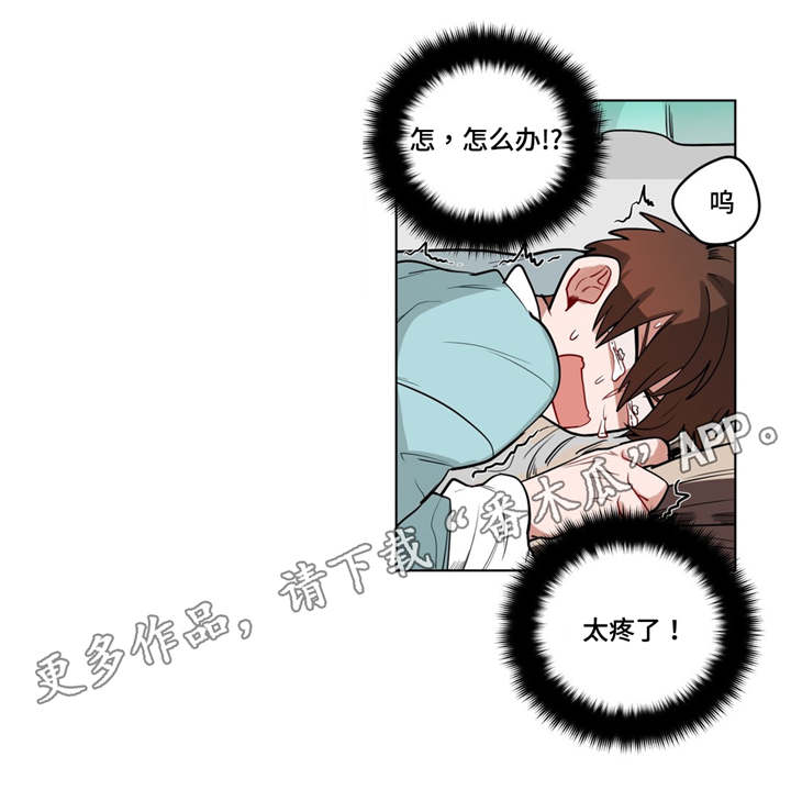 《无声体验》漫画最新章节第31章：非法入侵免费下拉式在线观看章节第【3】张图片