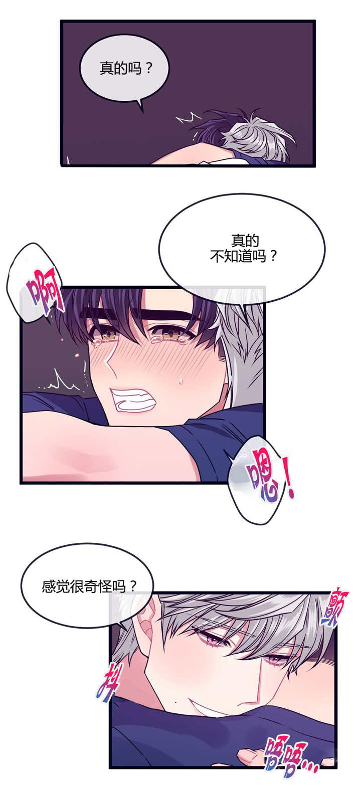 《萌犬小白》漫画最新章节第13章：是这里吗免费下拉式在线观看章节第【1】张图片