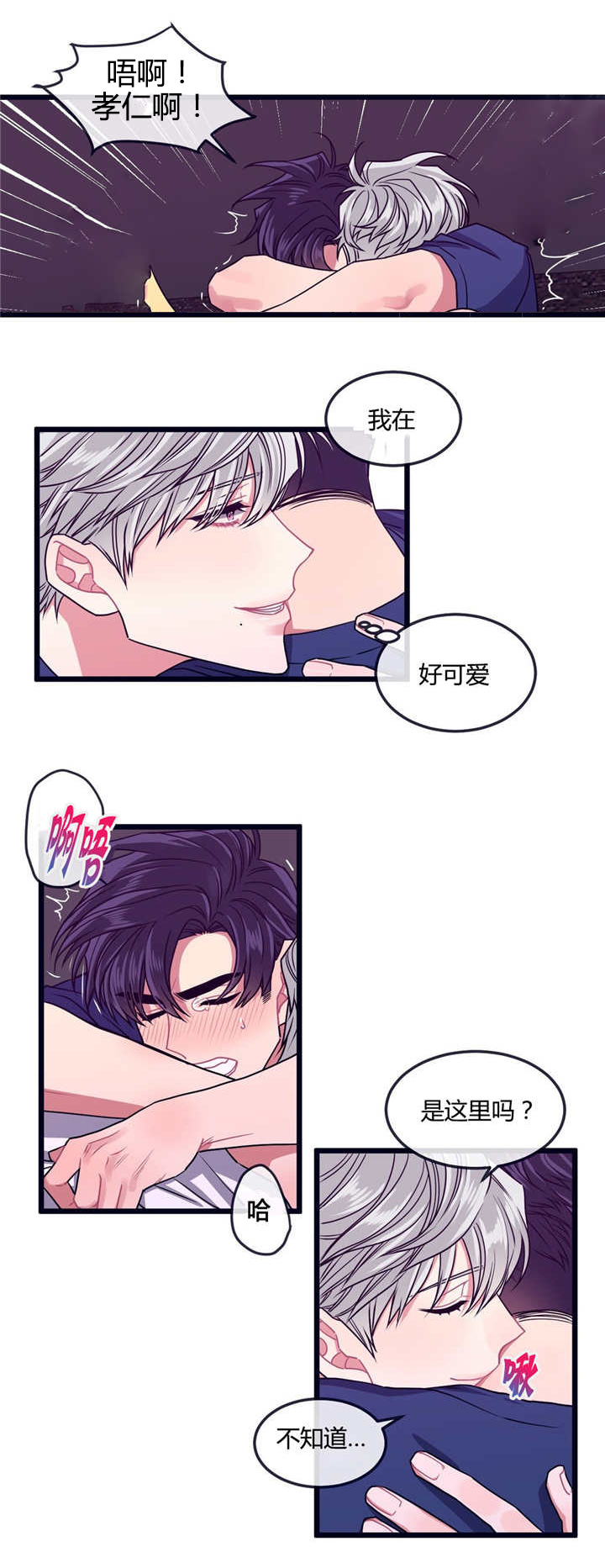 《萌犬小白》漫画最新章节第13章：是这里吗免费下拉式在线观看章节第【2】张图片