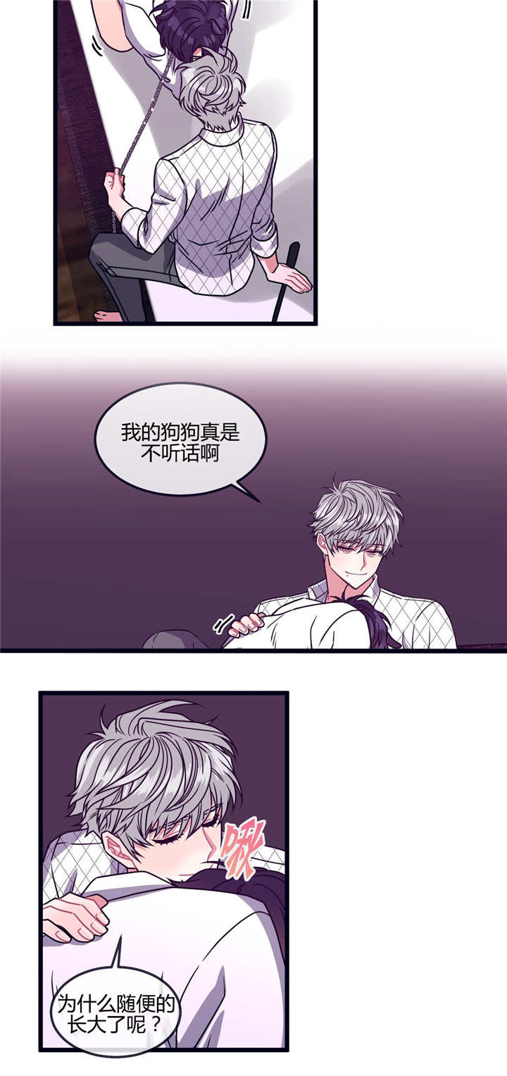 《萌犬小白》漫画最新章节第22章：不听话呢免费下拉式在线观看章节第【6】张图片