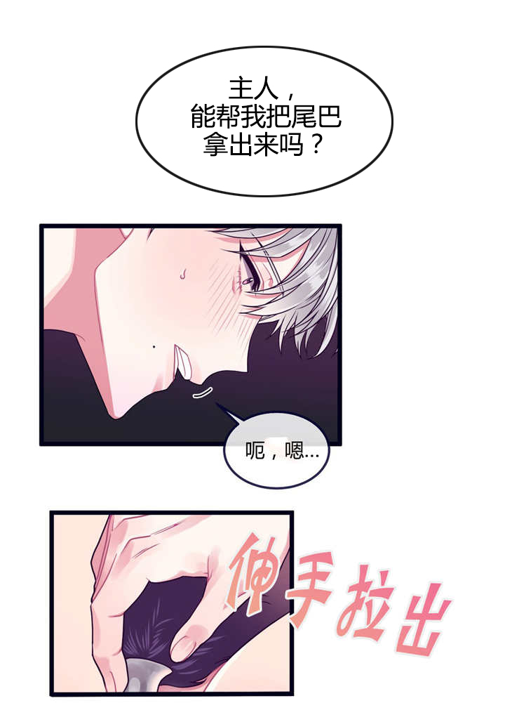 《萌犬小白》漫画最新章节第23章：被牵着走免费下拉式在线观看章节第【8】张图片