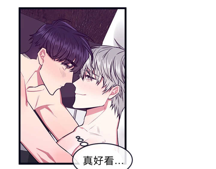 《萌犬小白》漫画最新章节第34章：不回来了免费下拉式在线观看章节第【14】张图片