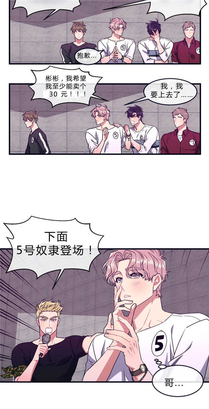 《萌犬小白》漫画最新章节第40章：庆典拍卖免费下拉式在线观看章节第【1】张图片