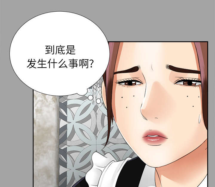 《泰山的遗产》漫画最新章节第35章：汇报免费下拉式在线观看章节第【25】张图片