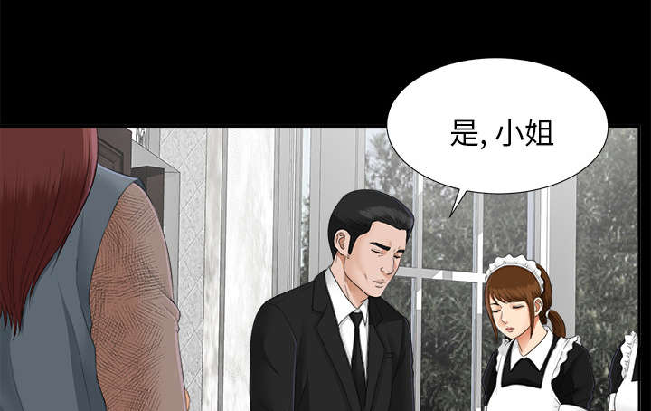 《泰山的遗产》漫画最新章节第45章：姐妹相见免费下拉式在线观看章节第【15】张图片