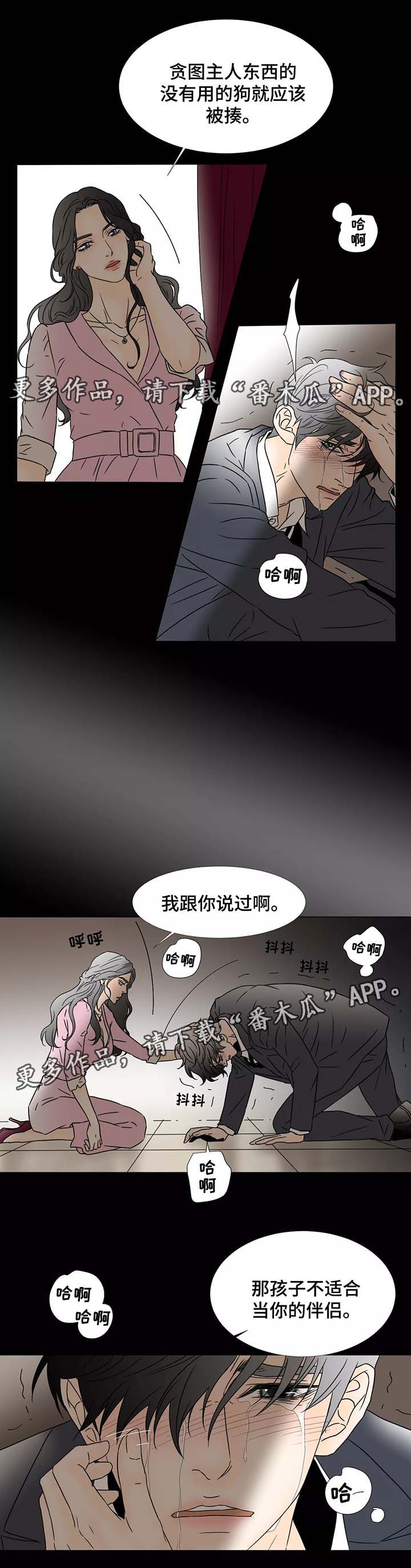 《笼中宠》漫画最新章节第66章：一意孤行的代价免费下拉式在线观看章节第【1】张图片