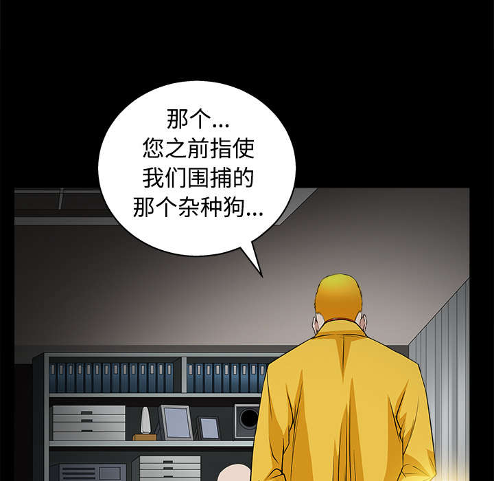 《沉睡的疯狗》漫画最新章节第50章：闹事的疯子免费下拉式在线观看章节第【37】张图片