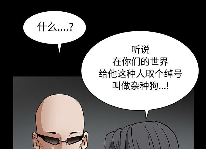 《沉睡的疯狗》漫画最新章节第65章：接管免费下拉式在线观看章节第【42】张图片