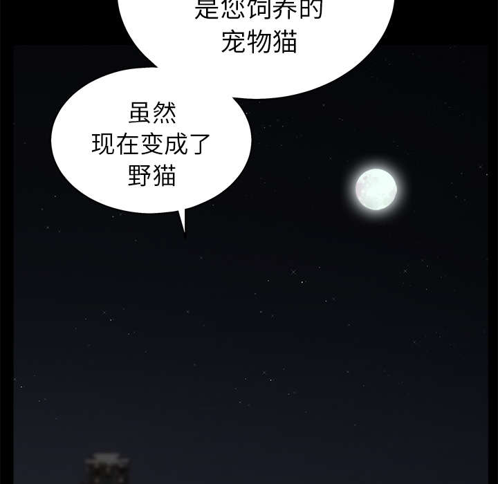 《沉睡的疯狗》漫画最新章节第115章：高高在上免费下拉式在线观看章节第【61】张图片