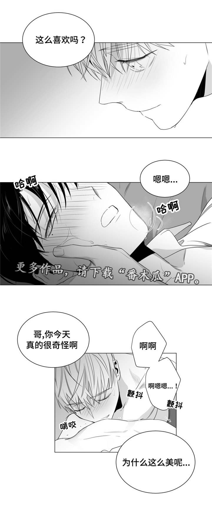 《重逢之约》漫画最新章节第36章：表明心迹免费下拉式在线观看章节第【2】张图片