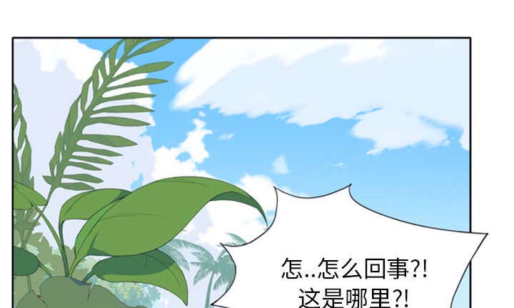 《红人岛》漫画最新章节第3章：沉船免费下拉式在线观看章节第【14】张图片