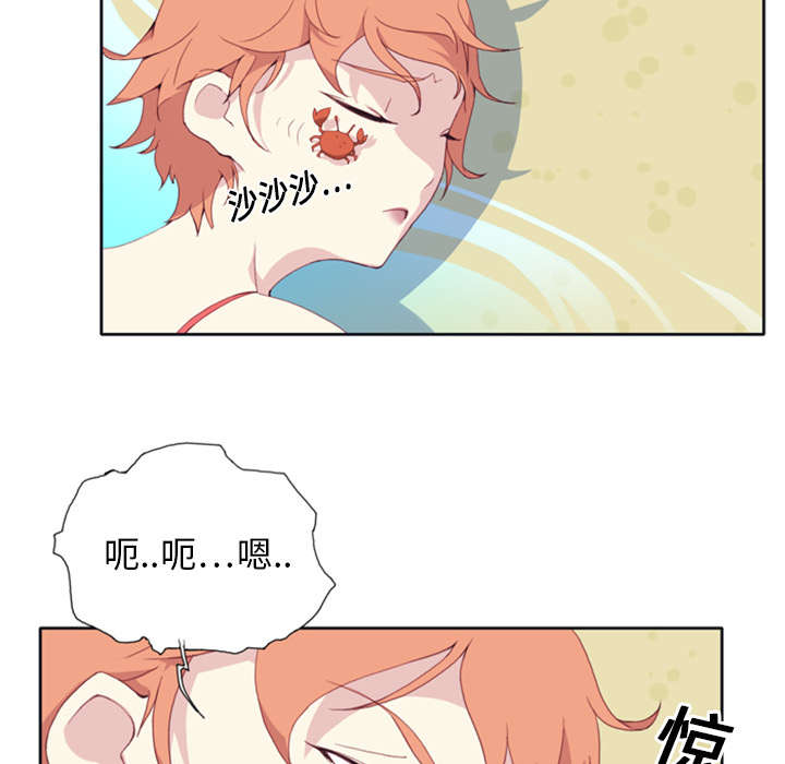 《红人岛》漫画最新章节第3章：沉船免费下拉式在线观看章节第【17】张图片