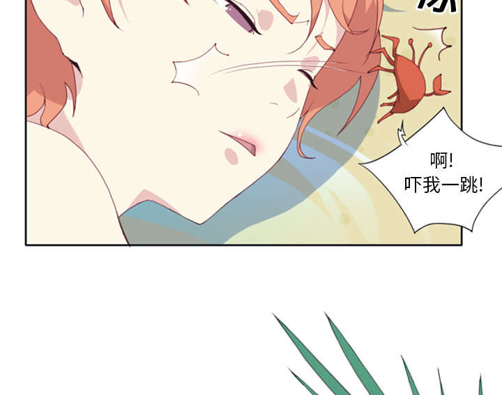 《红人岛》漫画最新章节第3章：沉船免费下拉式在线观看章节第【16】张图片