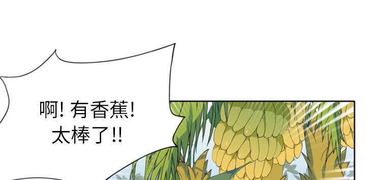 《红人岛》漫画最新章节第4章：孤岛免费下拉式在线观看章节第【25】张图片