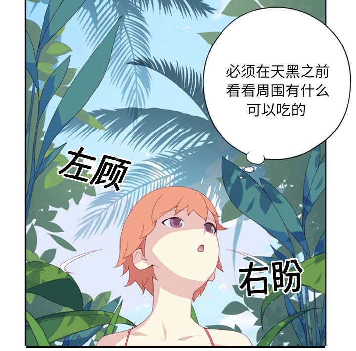 《红人岛》漫画最新章节第4章：孤岛免费下拉式在线观看章节第【26】张图片