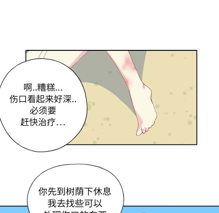 《红人岛》漫画最新章节第4章：孤岛免费下拉式在线观看章节第【30】张图片