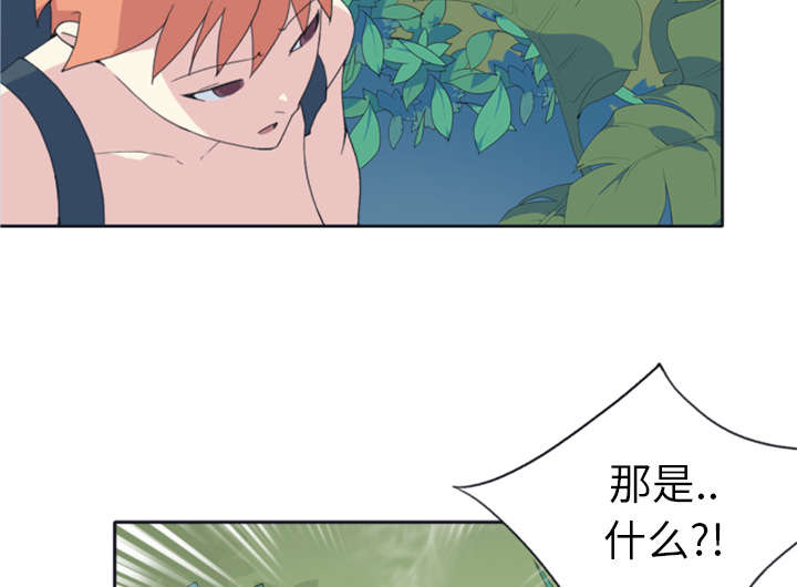 《红人岛》漫画最新章节第7章：篝火免费下拉式在线观看章节第【5】张图片