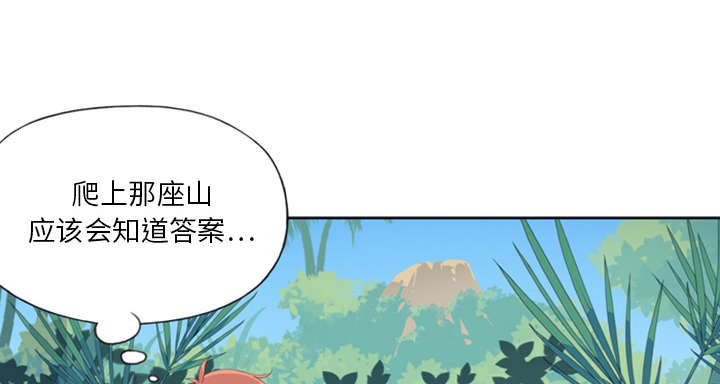 《红人岛》漫画最新章节第7章：篝火免费下拉式在线观看章节第【43】张图片