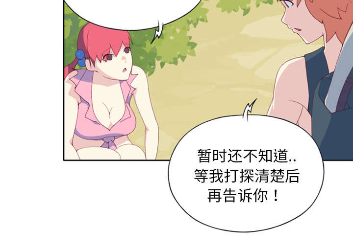 《红人岛》漫画最新章节第7章：篝火免费下拉式在线观看章节第【44】张图片