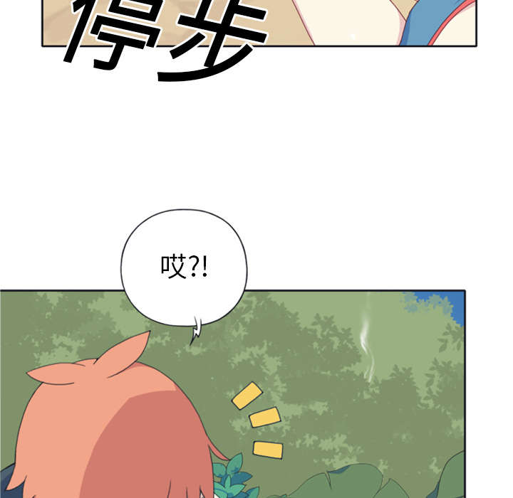 《红人岛》漫画最新章节第7章：篝火免费下拉式在线观看章节第【6】张图片