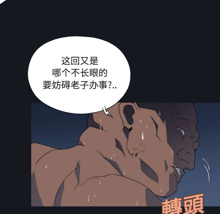 《红人岛》漫画最新章节第9章：国王免费下拉式在线观看章节第【34】张图片