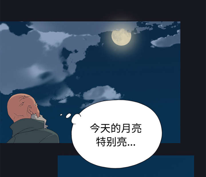 《红人岛》漫画最新章节第26章：海盗免费下拉式在线观看章节第【29】张图片