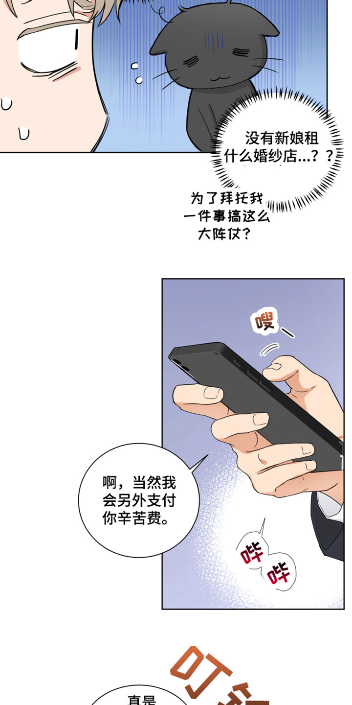 《婚姻选择》漫画最新章节第9章：试穿免费下拉式在线观看章节第【7】张图片