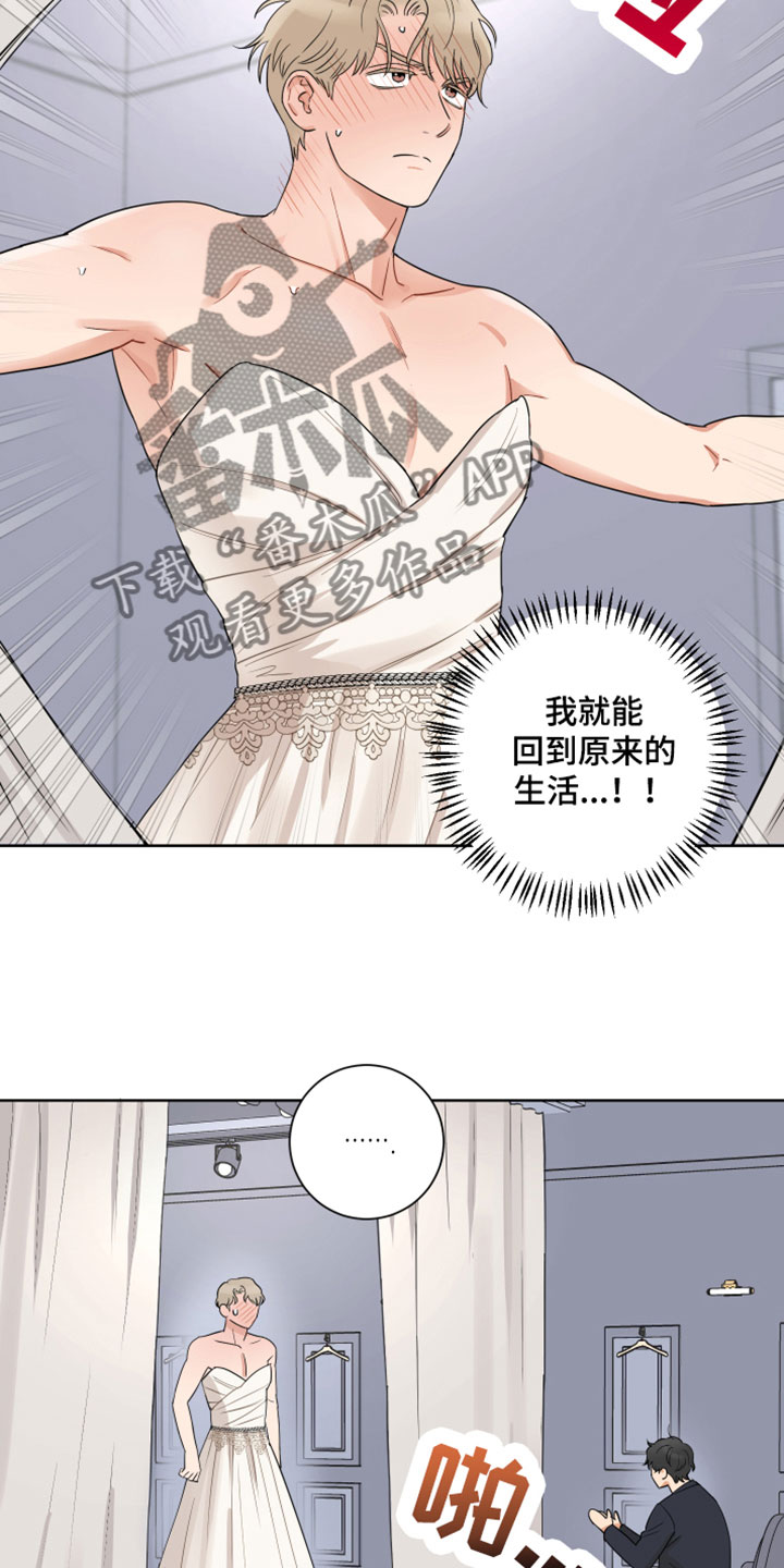 《婚姻选择》漫画最新章节第10章：求婚免费下拉式在线观看章节第【14】张图片