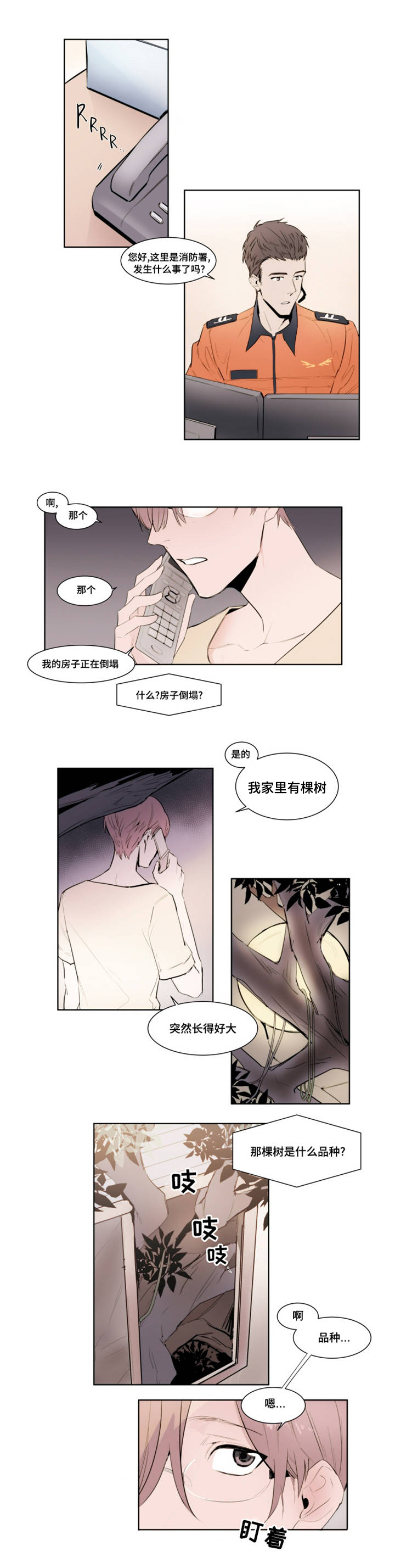 《植物效应》漫画最新章节第1章：报警免费下拉式在线观看章节第【10】张图片