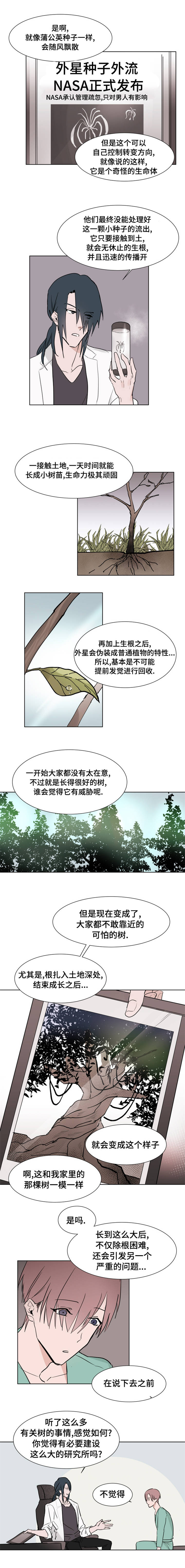 《植物效应》漫画最新章节第4章：医生免费下拉式在线观看章节第【3】张图片