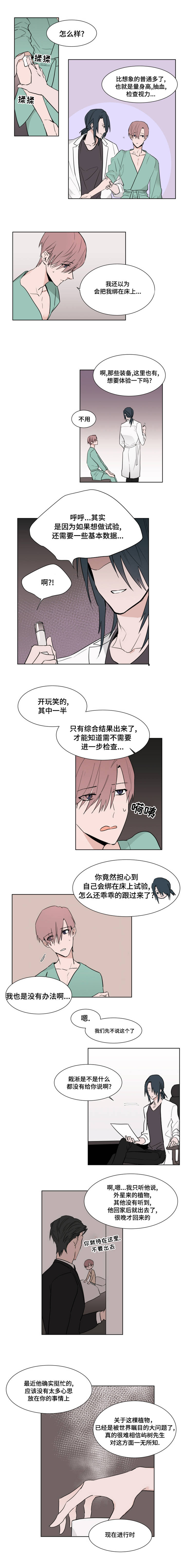 《植物效应》漫画最新章节第4章：医生免费下拉式在线观看章节第【4】张图片