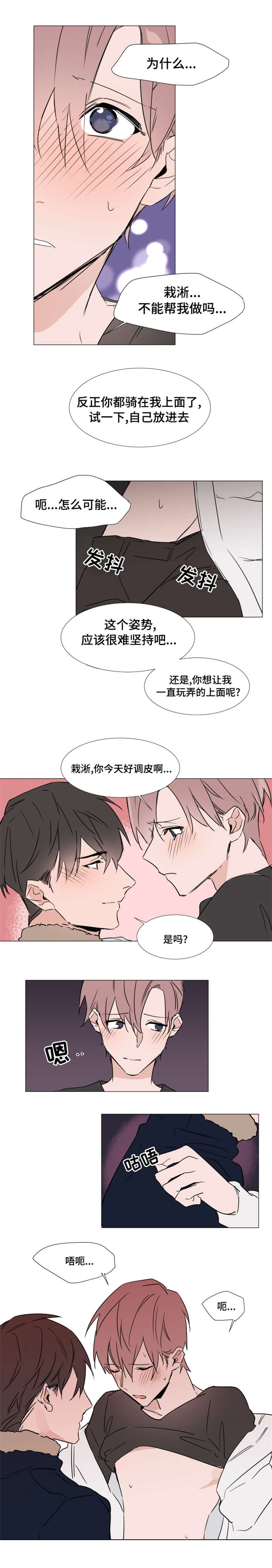 《植物效应》漫画最新章节第31章：回家免费下拉式在线观看章节第【4】张图片