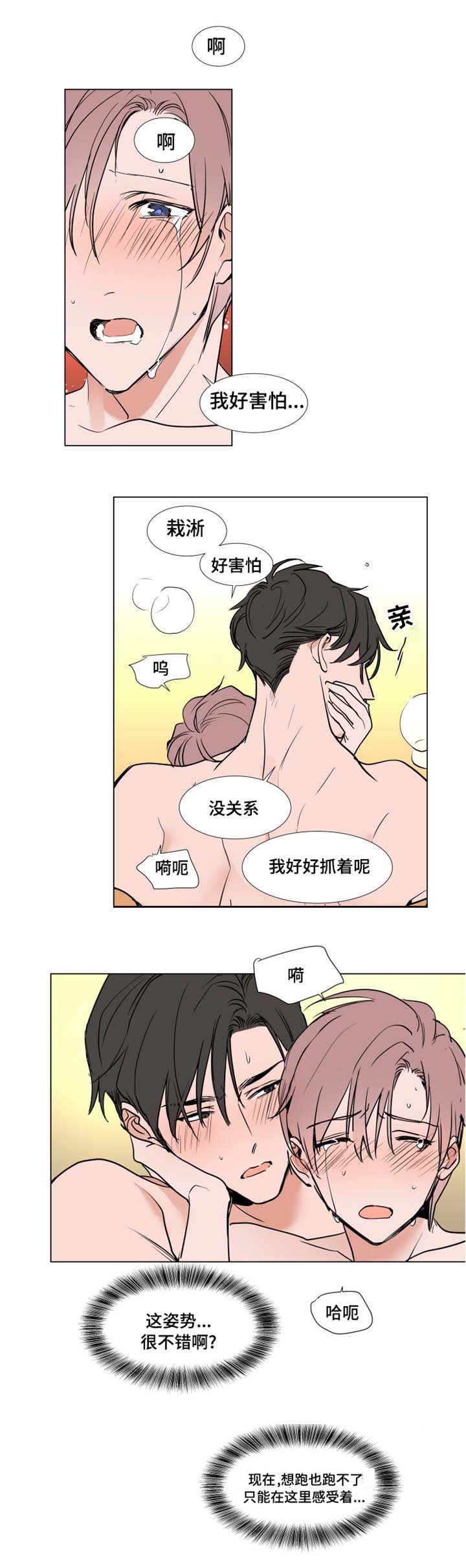 《植物效应》漫画最新章节第52章：禁令免费下拉式在线观看章节第【4】张图片