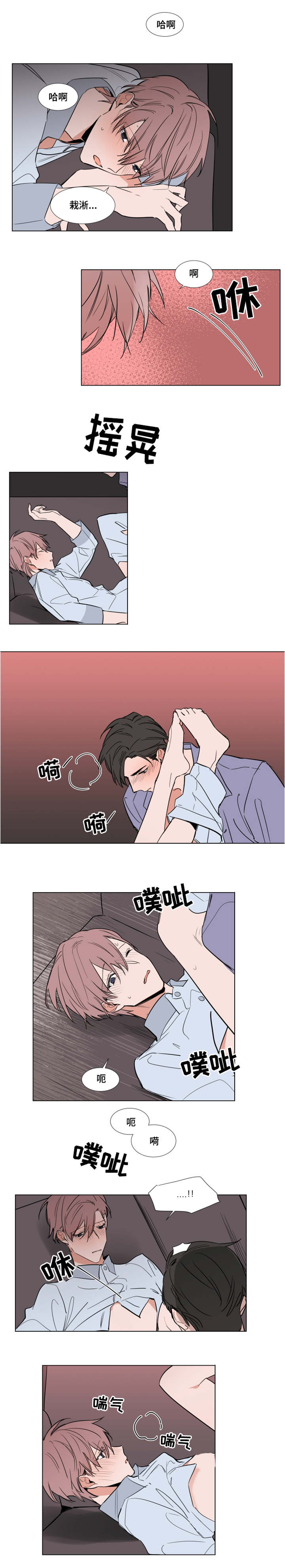 《植物效应》漫画最新章节第60章：最后的礼物免费下拉式在线观看章节第【3】张图片