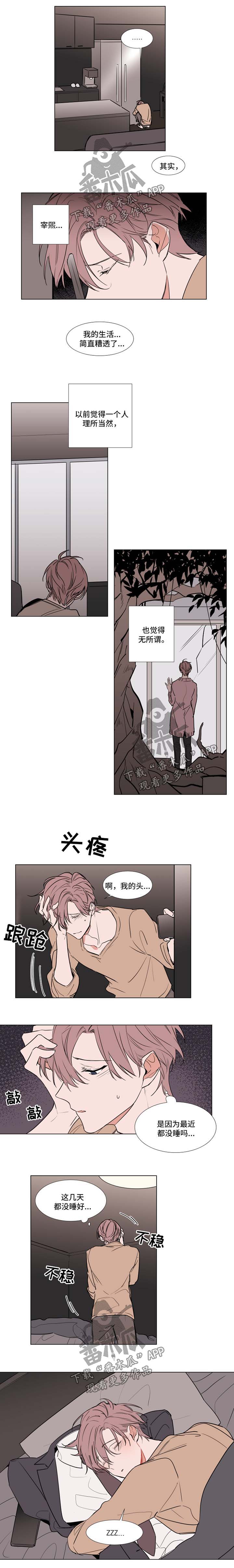 《植物效应》漫画最新章节第68章：放松免费下拉式在线观看章节第【4】张图片