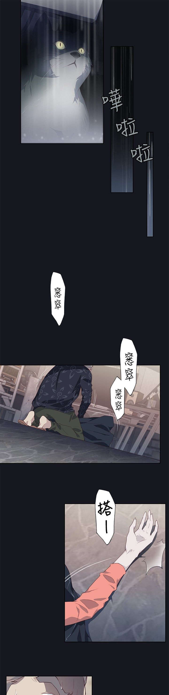 《画中梦》漫画最新章节第31章：癫狂免费下拉式在线观看章节第【7】张图片