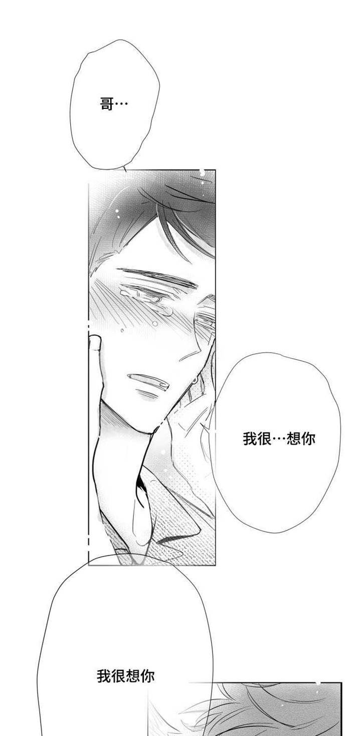 《触近》漫画最新章节第39章：我很想你免费下拉式在线观看章节第【10】张图片