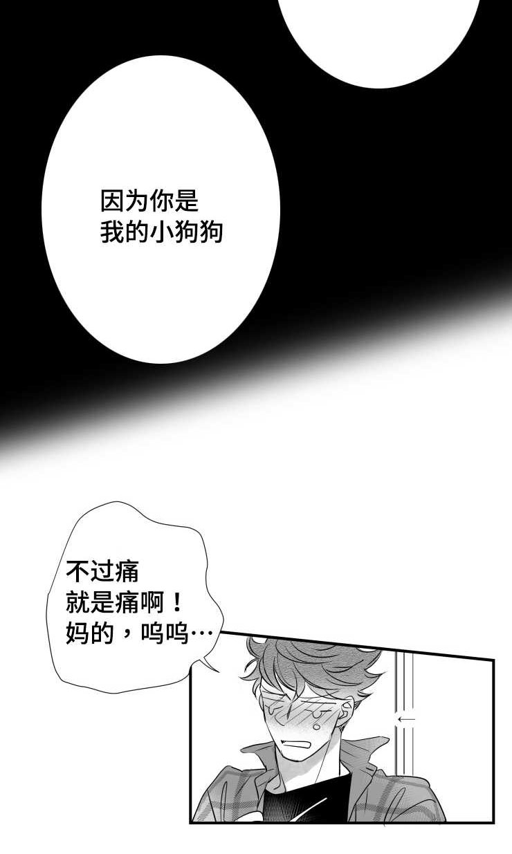 《触近》漫画最新章节第96章：摆脱免费下拉式在线观看章节第【17】张图片