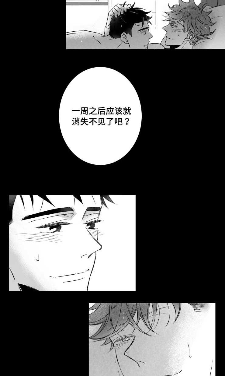 《触近》漫画最新章节第96章：摆脱免费下拉式在线观看章节第【19】张图片