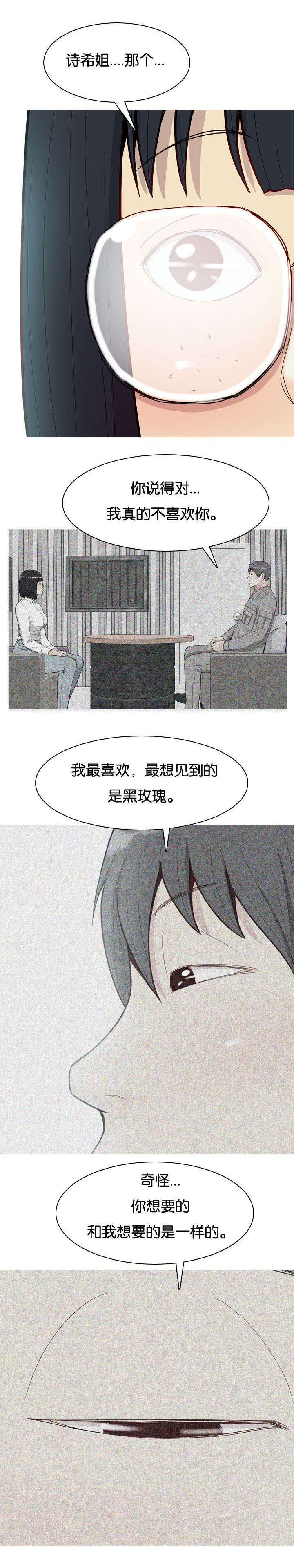 《双珠泪》漫画最新章节第40章：原因免费下拉式在线观看章节第【3】张图片